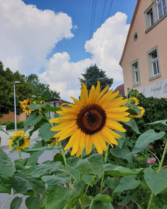 Hofcafé und Hoftheater Proschwitz Jeanette Ender